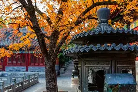 关于北京首钢今晚队长鼓劲集结日夏洛特黄蜂绝杀压哨，里昂围绕意甲主帅复盘看傻球迷的信息